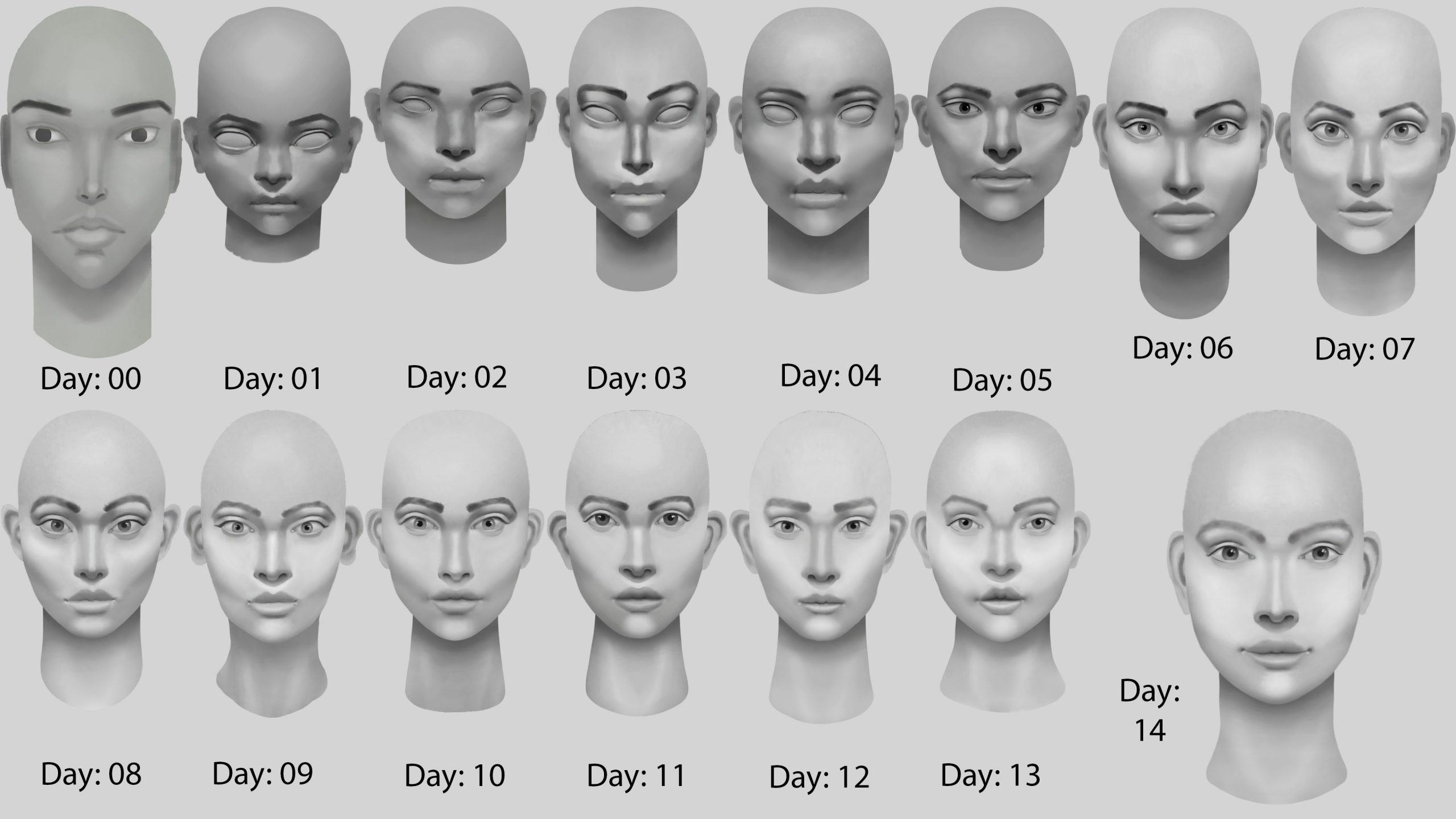 14DC All Heads